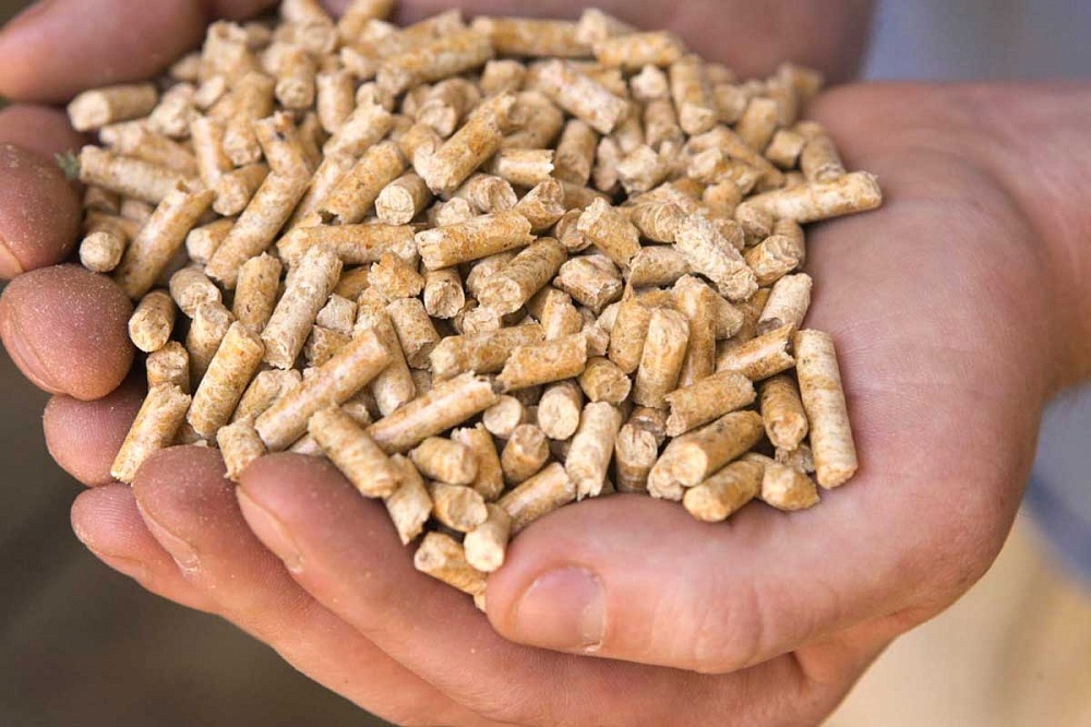 How to choose a pellet boiler? Look at the available pellets first