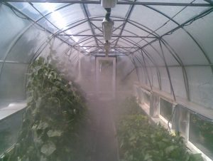 Fogging systems for garden greenhouses