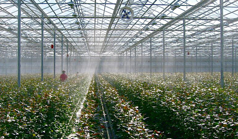 What gives artificial fogging in greenhouses