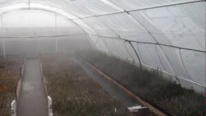 Sistem zamegljevanja pod visokim pritiskom