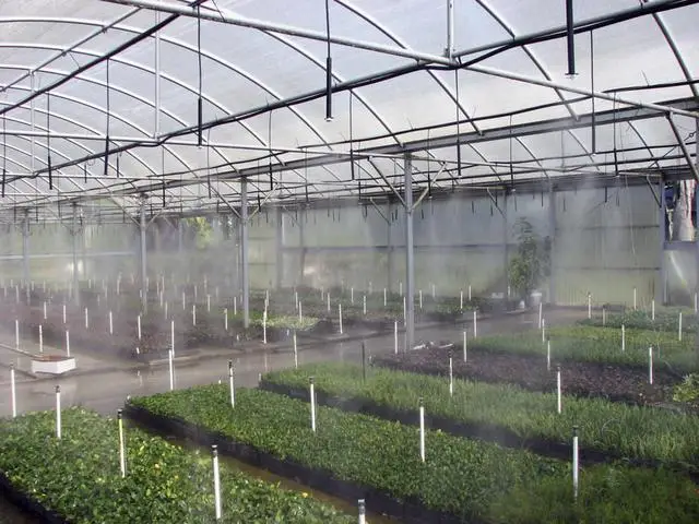 Industrial Mist Systems for Greenhouses - Firebox - Solid Fuel Pellet Boilers, Pellet Burners, Industrial Mist Systems for Greenhouses