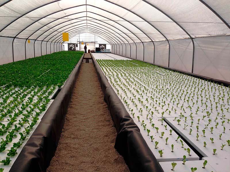 Air Heating of Greenhouses with Pellet Boilers